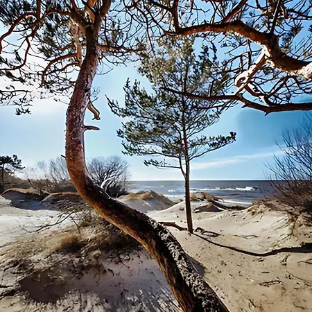 Bajor - Zvaigdziu Aleja - Kunigiskiai - Self Check-in Паланга